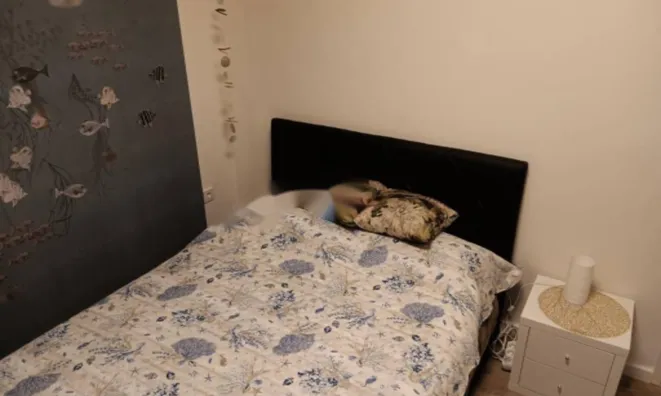 Недвижимость Трехкомнатная квартира Вепринац: 10