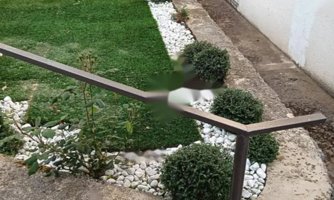 Недвижимость Трехкомнатная квартира Вепринац: 14