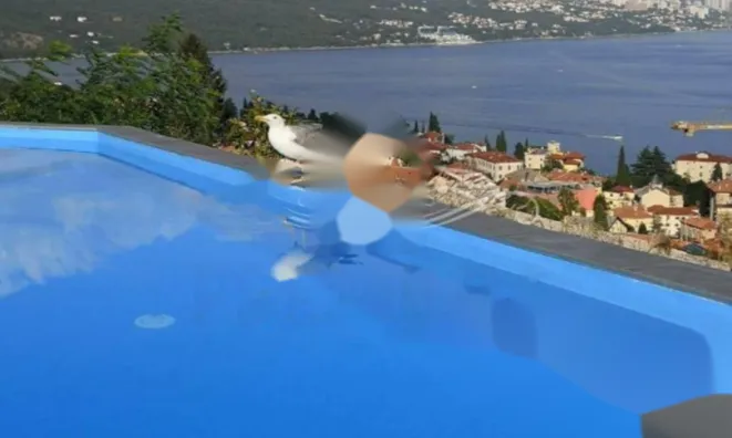 Недвижимость Двухкомнатная квартира в центре: 11