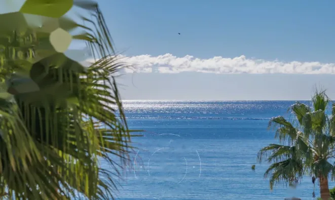 Недвижимость Apartment Cannes Central: 7