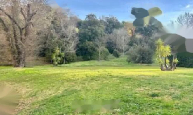 Недвижимость Apartment La Bocca Nord: 2