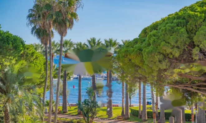 Недвижимость Apartment Pointe Croisette: 6