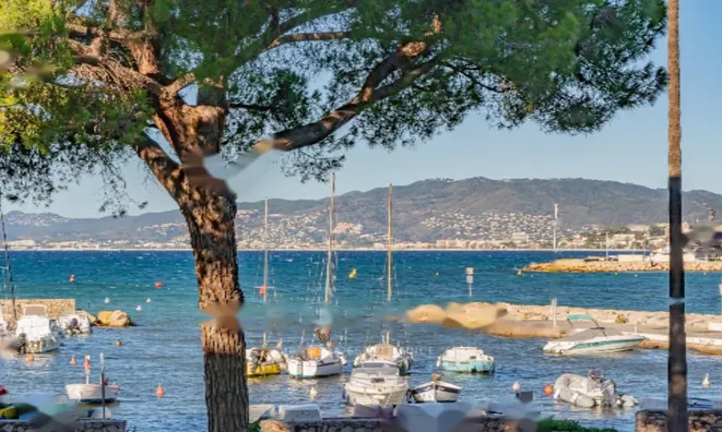 Недвижимость Apartment Cannes: 3