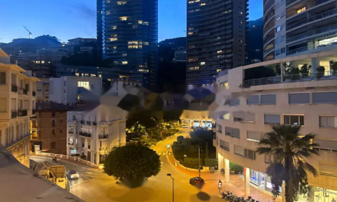 Недвижимость Apartment Monaco, La Rousse: 3