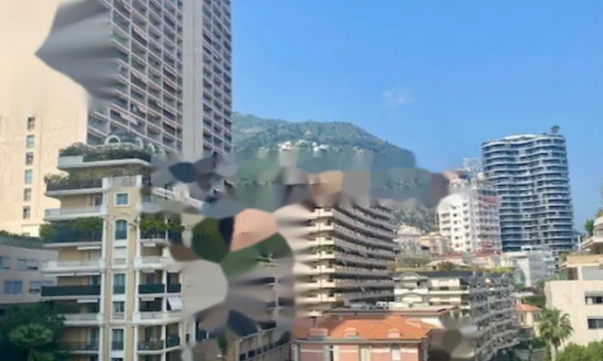 Недвижимость Apartment Monaco, La Rousse: 2