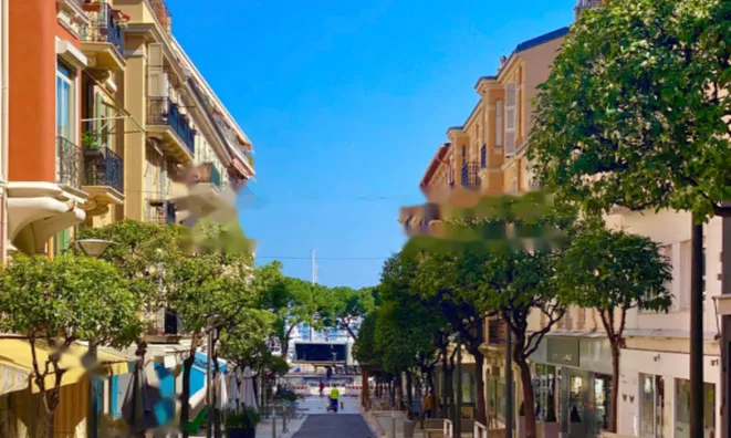 Недвижимость Apartment Monaco, Port: 10