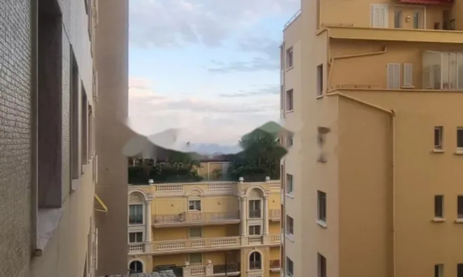 Недвижимость Apartment Monaco, Jardin Exotique: 9