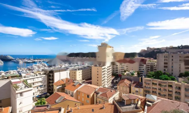 Недвижимость Apartment Monaco, Monte-Carlo: 13