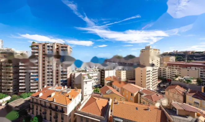 Недвижимость Apartment Monaco, Monte-Carlo: 19