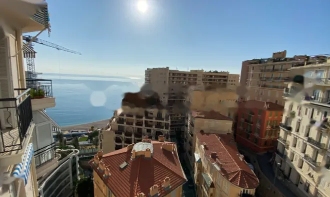 Недвижимость Apartment Monaco, La Rousse: 7
