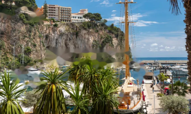 Недвижимость Apartment Monaco, Fontvieille: 1