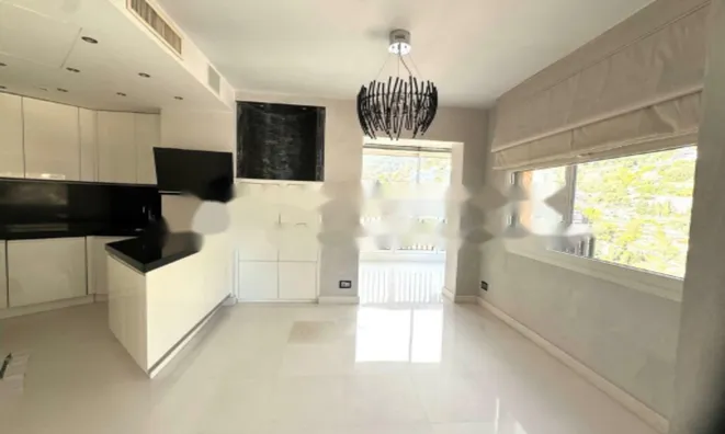 Недвижимость Apartment Monaco, La Rousse: 12