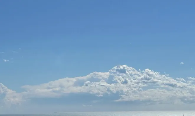 Недвижимость Apartment Monaco, Monte-Carlo: 5