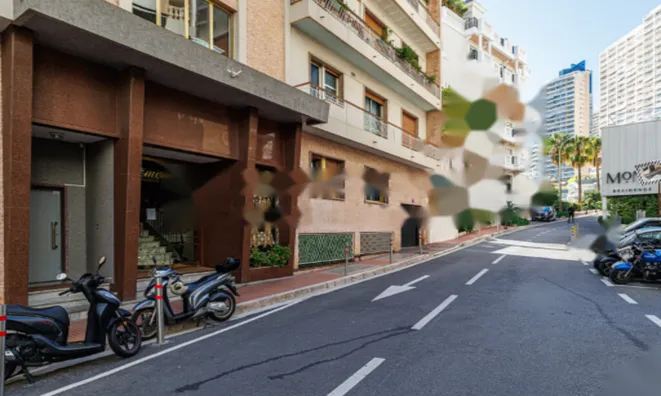 Недвижимость Apartment Monaco, La Rousse: 34