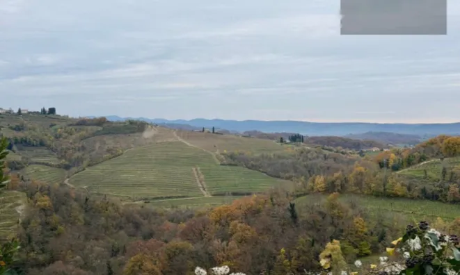 Недвижимость Дом с террасой Новые Кожаны: 9