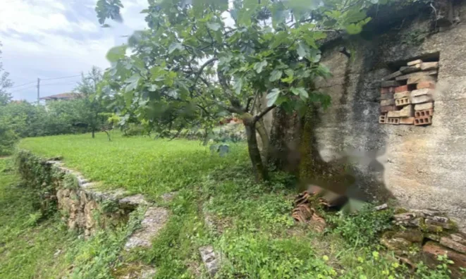 Недвижимость Частный дом Польяне, Опатия: 5