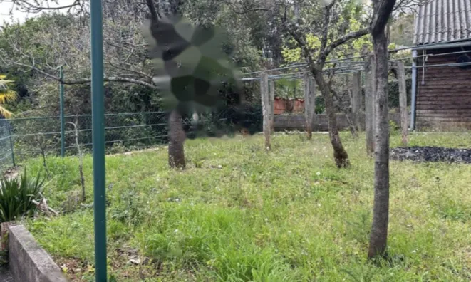 Недвижимость Семейный дом в центре Опатии: 17