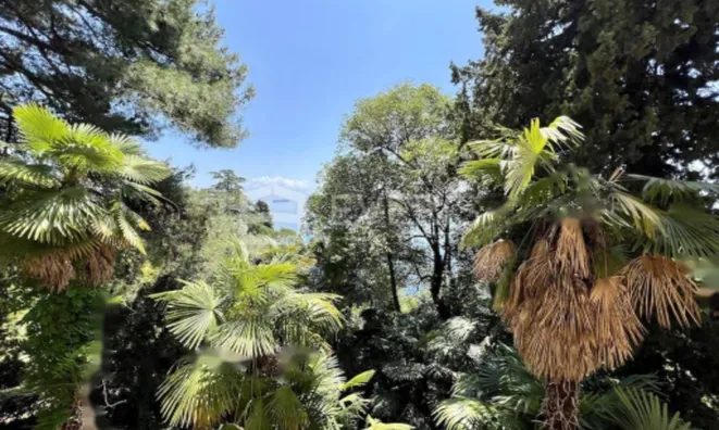 Недвижимость Четырехкомнатная квартира в центре Опатии: 7