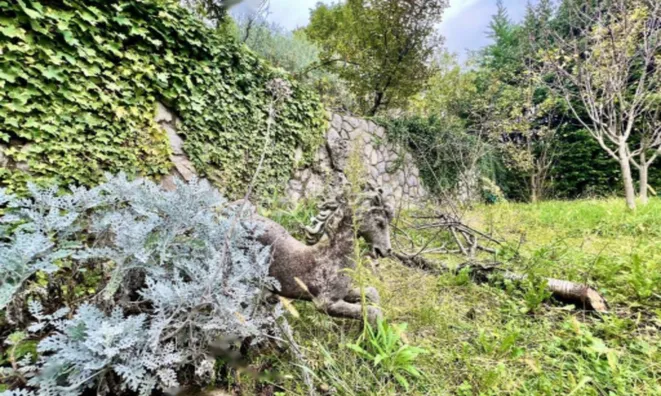 Недвижимость Частный дом Побри, Опатия: 27