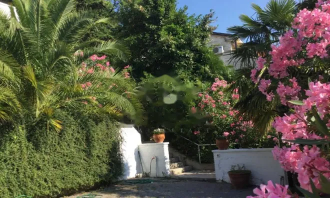 Недвижимость Квартира в центре Опатии: 25