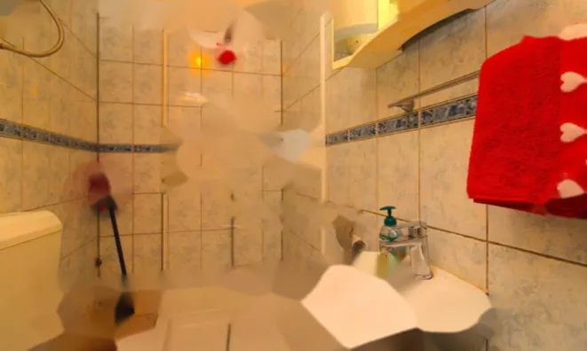 Недвижимость Однокомнатная квартира Побри: 9