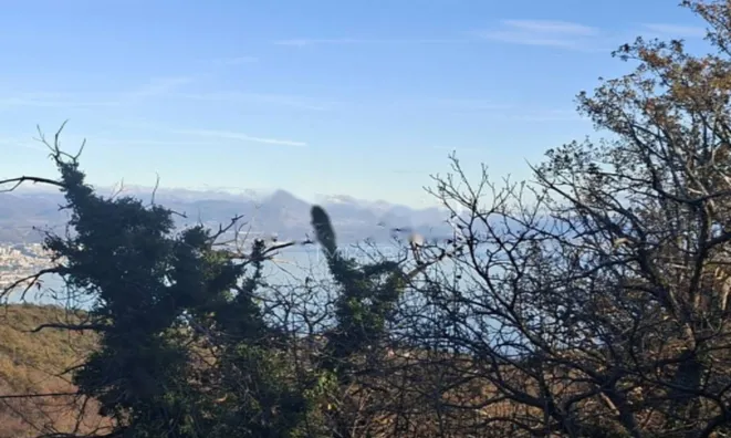 Недвижимость Семейный дом Вепринац: 8