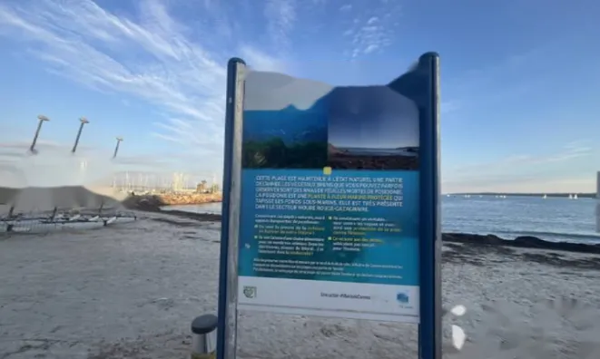 Недвижимость Apartment Pointe Croisette: 19