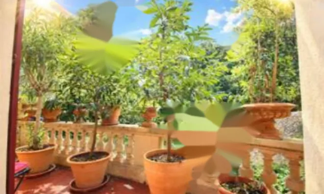 Недвижимость Apartment Pointe Croisette: 3