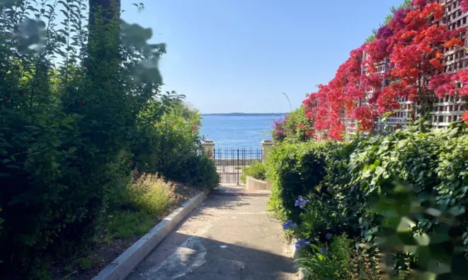 Недвижимость Apartment Pointe Croisette: 16