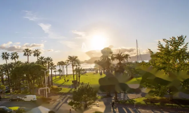 Недвижимость Apartment Pointe Croisette: 1