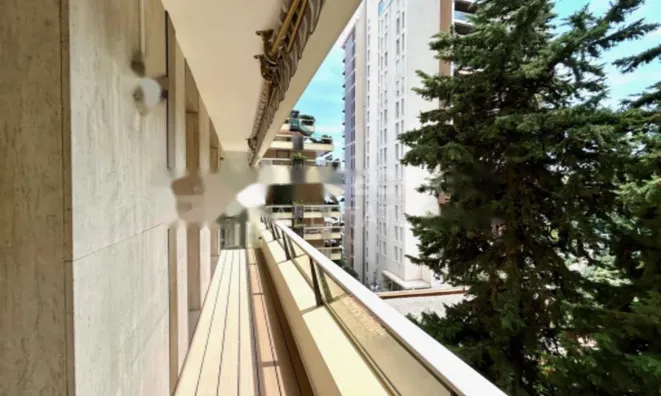 Недвижимость Apartment Monaco, Jardin Exotique: 8