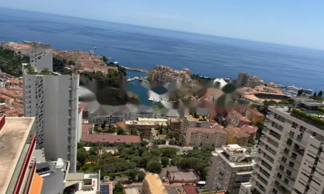 Недвижимость Apartment Monaco, Jardin Exotique: 12