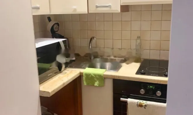 Недвижимость Apartment Monaco, Condamine: 9