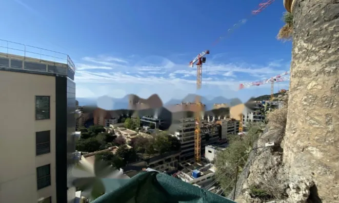 Недвижимость Apartment Monaco, Jardin Exotique: 4