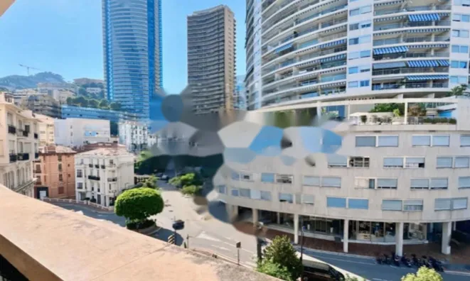 Недвижимость Apartment Monaco, La Rousse: 4