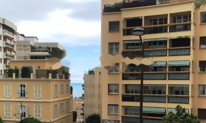 Недвижимость Apartment Monaco, La Rousse: 2