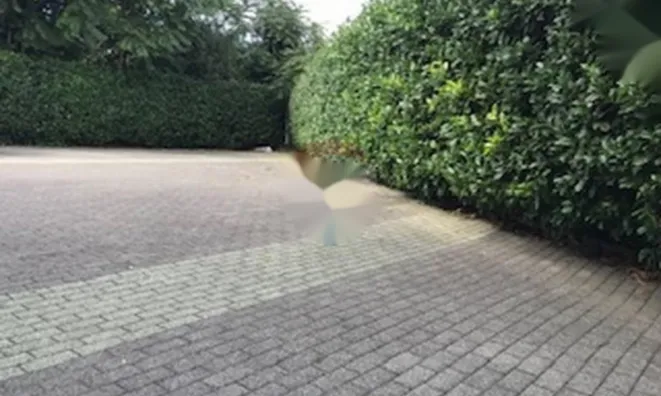 Недвижимость Четырехкомнатная квартира в Ичичи: 18