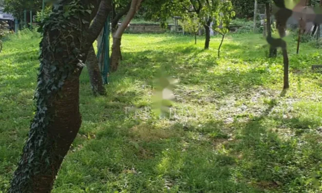 Недвижимость Трехкомнатная квартира в центре Опатии: 6