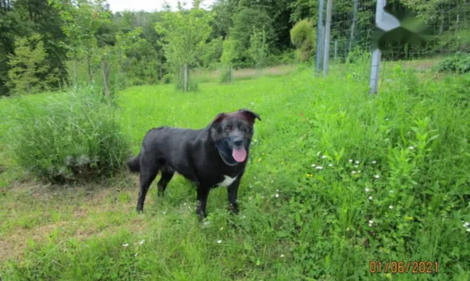 Недвижимость Семейный дом в Вепринаце: 9