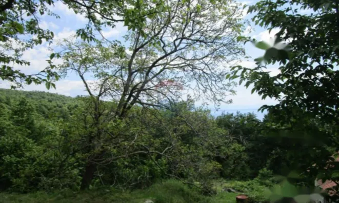 Недвижимость Семейный дом в Вепринаце: 12