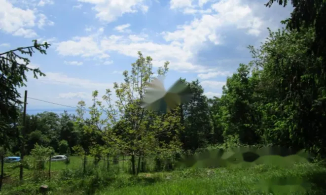 Недвижимость Семейный дом в Вепринаце: 14