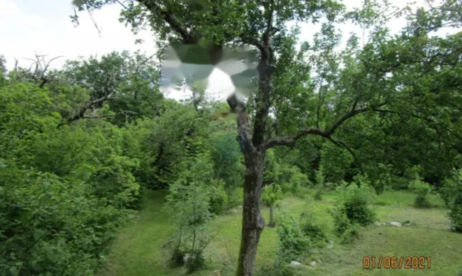 Недвижимость Семейный дом в Вепринаце: 18