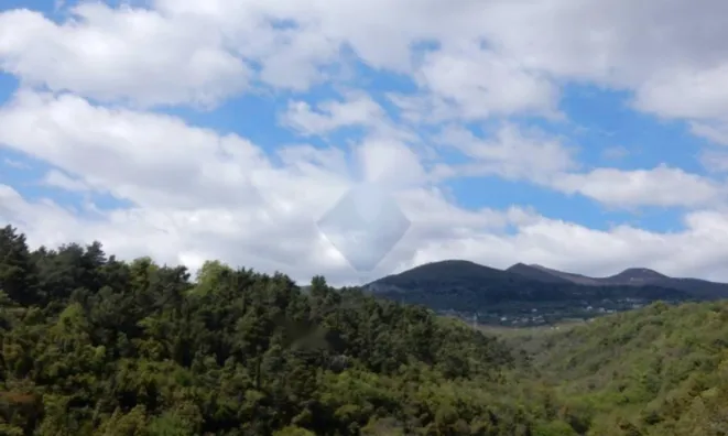 Недвижимость Семейный дом Ика, Опатия: 34