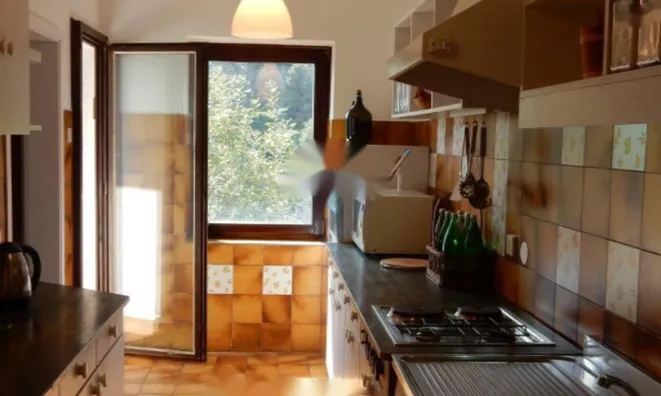 Недвижимость Семейный дом Ика, Опатия: 42