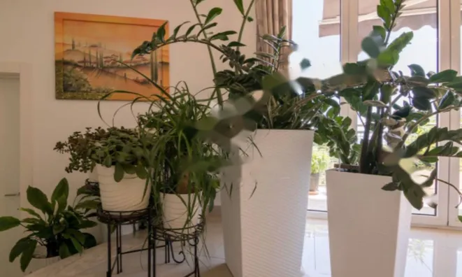 Недвижимость Семейный дом в Ичичи: 14