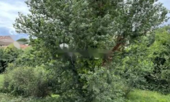 Недвижимость Apartment La Bocca: 6