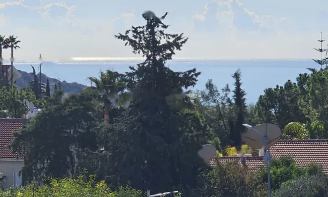 Недвижимость 3 Bedroom Detached House For Sale in Agios Tychonas, Limassol: 3