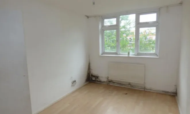 Недвижимость New Place Square: 2