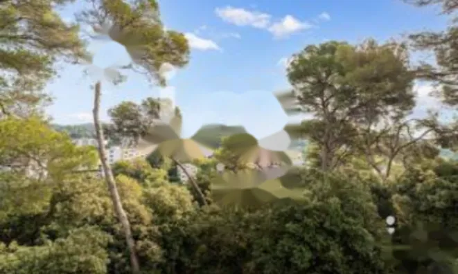 Недвижимость Apartment La Bocca Nord: 11