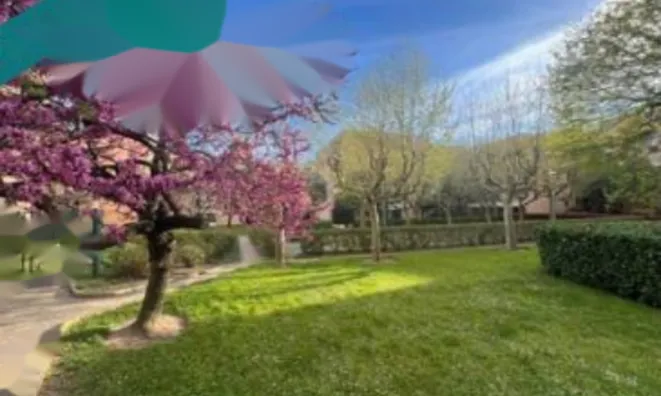 Недвижимость Apartment La Bocca Nord: 9